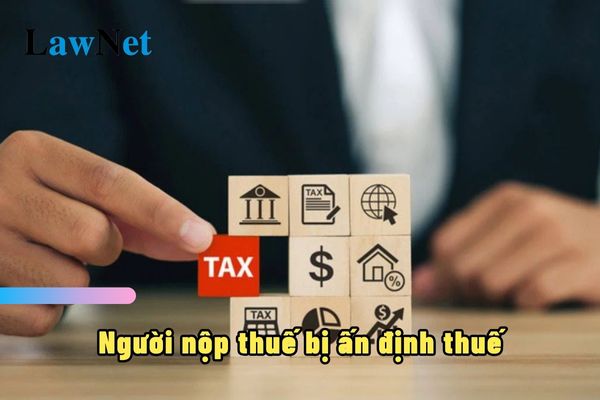 Người nộp thuế bị ấn định thuế có bị xử phạt vi phạm hành chính hay không?