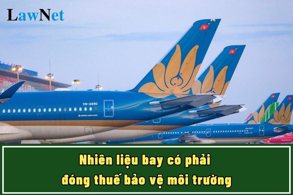 Nhiên liệu bay có phải đóng thuế bảo vệ môi trường không? Mức thuế tuyệt đối áp dụng với nhiên liệu bay nhập khẩu được xác định ra sao?