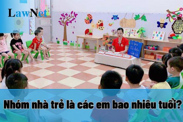 Nhóm nhà trẻ là các em bao nhiêu tuổi? Nhóm nhà trẻ cần điều kiện gì để được hoạt động giáo dục?