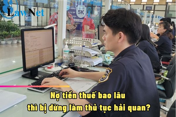 Nợ tiền thuế bao lâu thì bị dừng làm thủ tục hải quan?