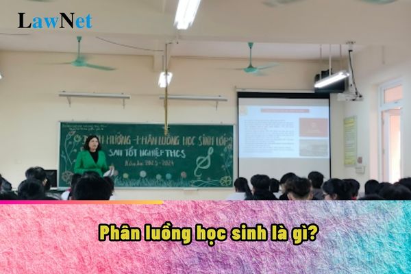 Phân luồng học sinh là gì? Định hướng phân luồng học sinh trong giáo dục phổ thông ra sao?