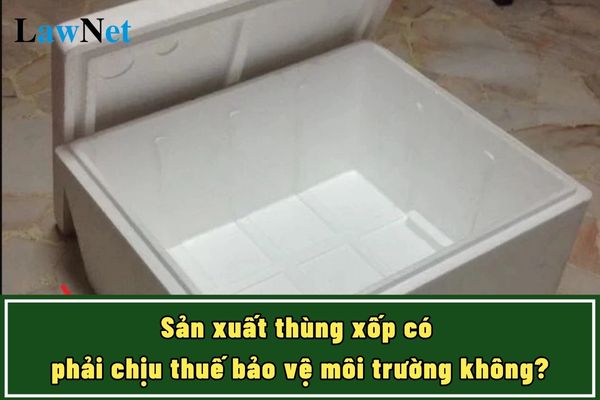 Doanh nghiệp sản xuất thùng xốp có phải chịu thuế bảo vệ môi trường không?