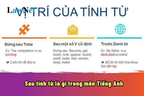 Sau tính từ là gì trong môn Tiếng Anh? Kiến thức ngôn ngữ trong môn Tiếng Anh như thế nào?