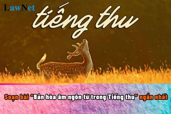 Soạn bài Bản hòa âm ngôn từ trong Tiếng thu ngắn nhất? Học sinh lớp 10 năm 2024 là bao nhiêu tuổi?