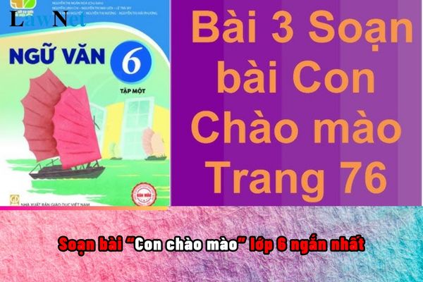 Soạn bài Con chào mào lớp 6 ngắn nhất? Giáo viên THCS có chịu trách nhiệm về hiệu quả giáo dục đối với học sinh lớp 6 hay không?