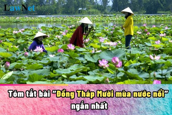 Tóm tắt bài Đồng Tháp Mười mùa nước nổi ngắn nhất? Các biện pháp tu từ mà học sinh lớp 6 được học là gì?