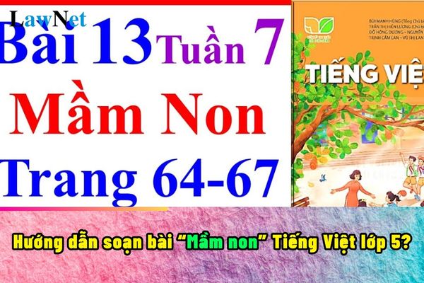 Hướng dẫn soạn bài Mầm non Tiếng Việt lớp 5?