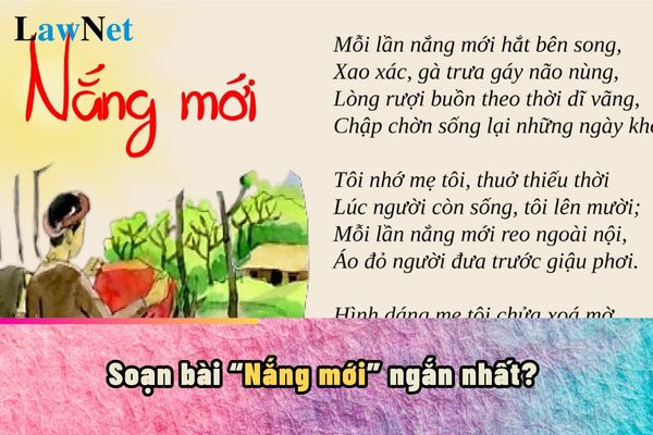 Soạn bài Nắng mới ngắn nhất? Năng lực văn học cần có sau khi học môn Ngữ văn lớp 8?