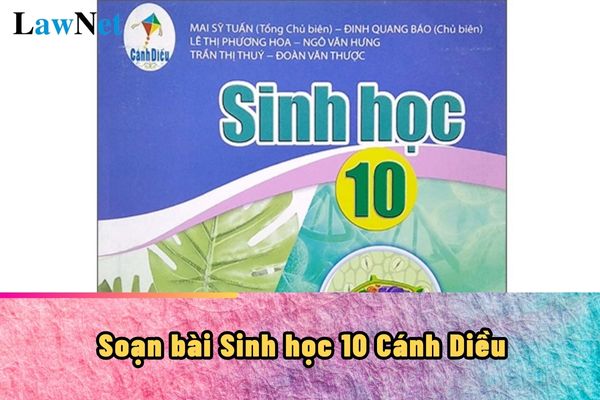 Soạn bài khái quát về tế bào Sinh học 10 Cánh Diều?