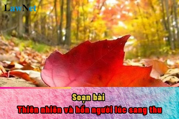 Soạn bài Thiên nhiên và hồn người lúc sang thu ngắn gọn nhất? Nguyên tắc biên soạn sách giáo khoa lớp 8 là gì?