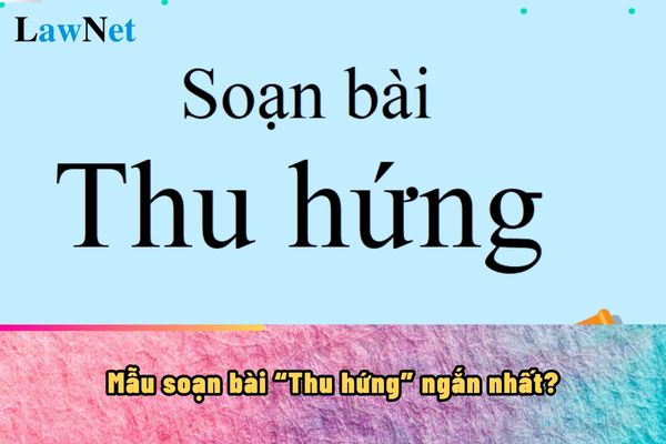 Mẫu soạn bài Thu hứng ngắn nhất? Theo chương trình thì môn Ngữ văn 10 có bao nhiêu tiết?