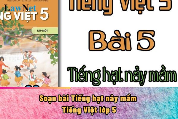 Soạn bài Tiếng hạt nảy mầm Tiếng Việt lớp 5?