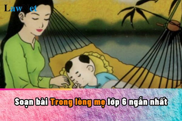 Soạn bài Trong lòng mẹ lớp 6 ngắn nhất? Học sinh lớp 6 gian lận trong học tập có phải là hành vi bị cấm không?