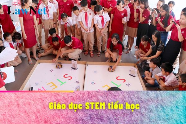 3 mục đích nào mà giáo dục STEM tiểu học phải tuân thủ?