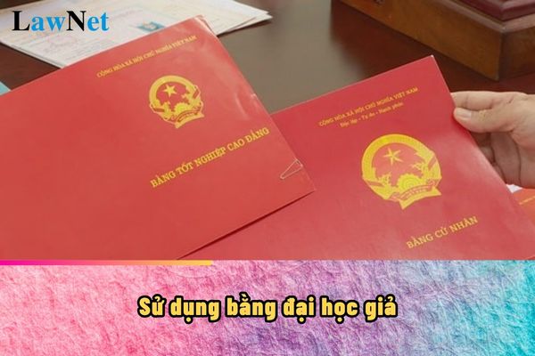 Sử dụng bằng đại học giả để học lên thạc sĩ thì có bị thu hồi bằng thạc sĩ không?  