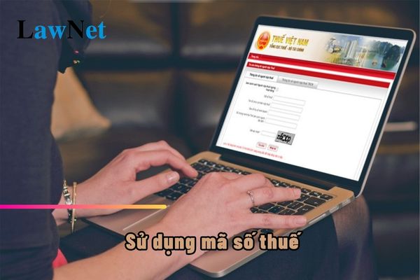 Tổ chức không có tư cách pháp nhân trực tiếp phát sinh nghĩa vụ thuế sử dụng mã số thuế mấy số?