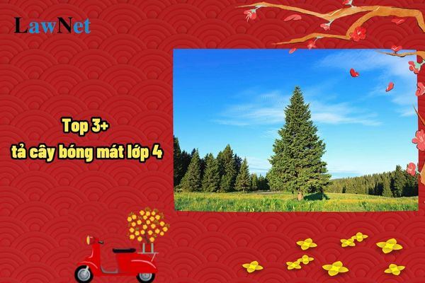 Top 3+ tả cây bóng mát lớp 4? Mục tiêu của chương trình môn Tiếng Việt lớp 4 là gì?