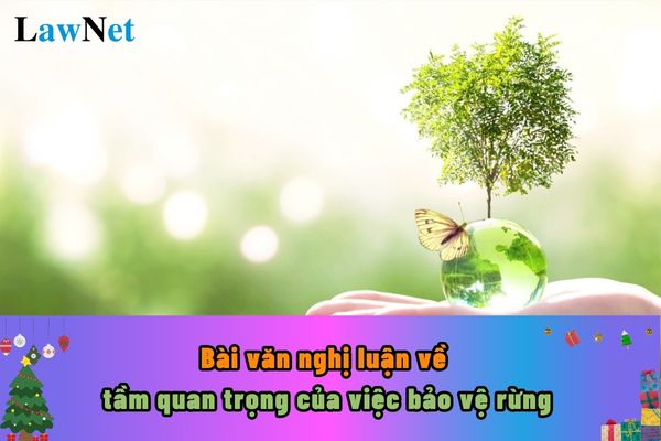 Mẫu viết bài văn nghị luận về tầm quan trọng của việc bảo vệ rừng? Yêu cầu đánh giá học sinh lớp 9 có cần công bằng không?