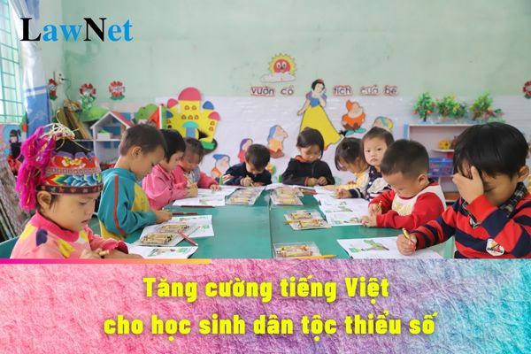 Enhance Vietnamese for ethnic minority students in the new academic year 2024-2025?