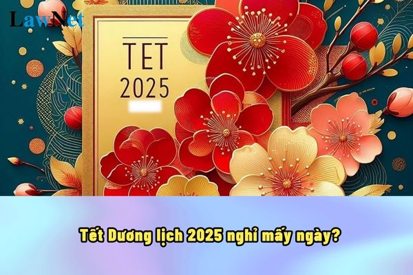 Tết Dương lịch 2025 nghỉ mấy ngày? Các mốc thời gian học sinh cần ghi nhớ khi bước qua Tết Dương lịch 2025?