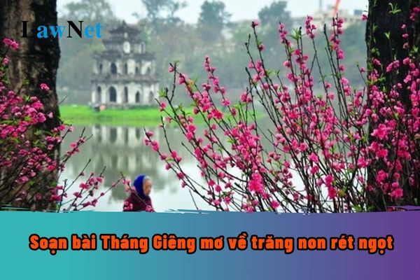 Soạn bài Tháng Giêng mơ về trăng non rét ngọt? Phần đọc của chương trình môn Ngữ văn lớp 7 cần đạt những gì?