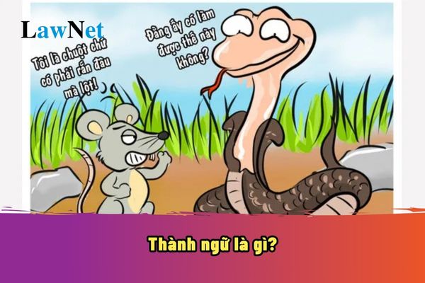 Thành ngữ là gì? Nghĩa của một số thành ngữ dễ hiểu là nội dung của môn Tiếng Việt lớp mấy?