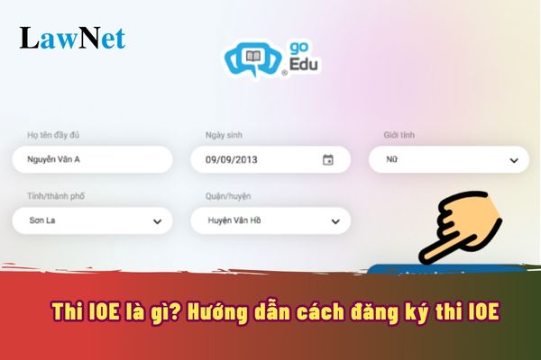 Thi IOE là gì? Hướng dẫn cách đăng ký thi IOE trên Internet dành cho học sinh phổ thông?