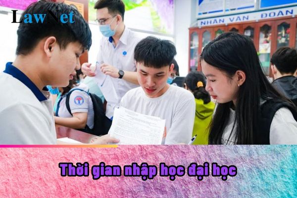 Thời gian nhập học đại học 2024-2025?