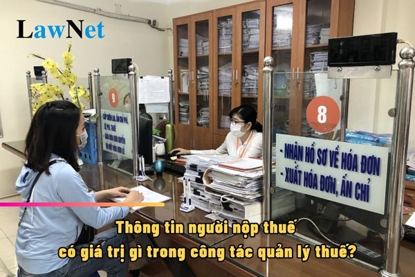 Thông tin người nộp thuế có giá trị gì trong công tác quản lý thuế?