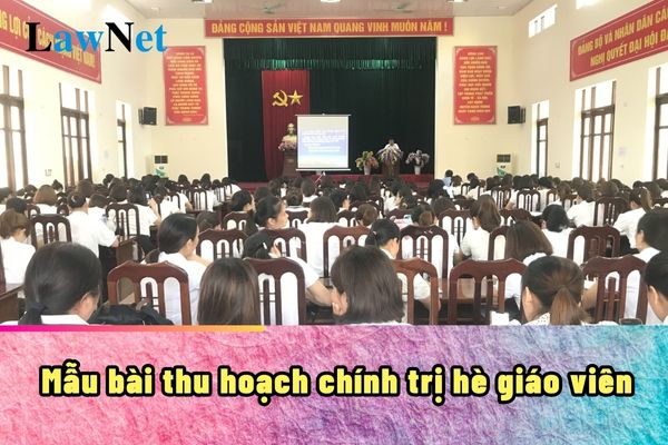 Mẫu bài thu hoạch chính trị hè 2024 chuyên đề đổi mới căn bản, toàn diện giáo dục và đào tạo?