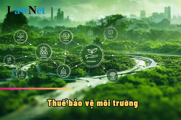 Cá nhân bán hàng hoá chịu thuế bảo vệ môi trường thì kê khai thuế như thế nào?