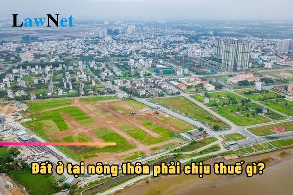 Đất ở tại nông thôn phải chịu thuế gì? Trường hợp nào được miễn thuế?