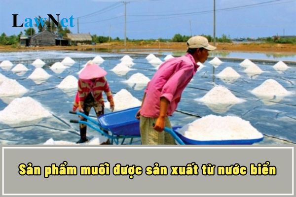 Sản phẩm muối được sản xuất từ nước biển từ ngày 1/7/2025 vẫn không phải chịu thuế GTGT đúng không?