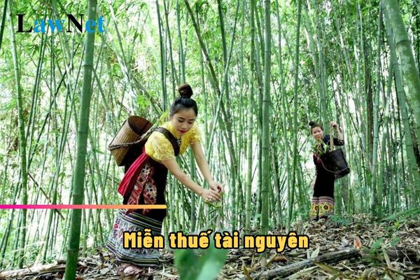 Exploitation of bamboo lồ ô for usage exempt from resource tax?