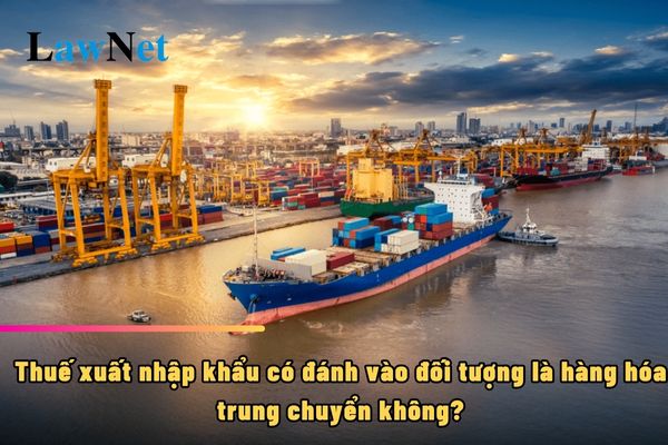 Thuế xuất nhập khẩu có đánh vào đối tượng là hàng hóa trung chuyển không?