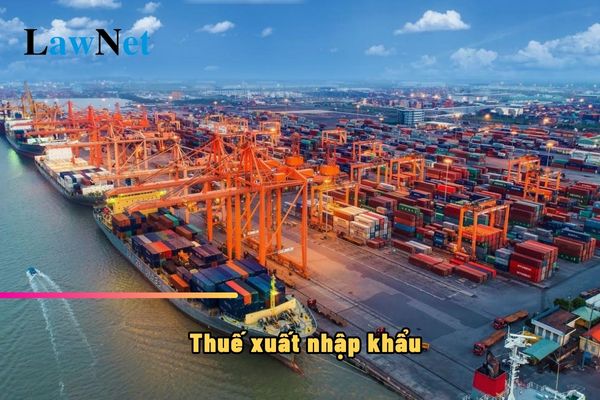 Chi nhánh của doanh nghiệp có được đóng thuế xuất nhập khẩu không?