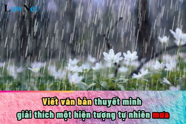 Hướng dẫn viết văn bản thuyết minh giải thích một hiện tượng tự nhiên mưa?