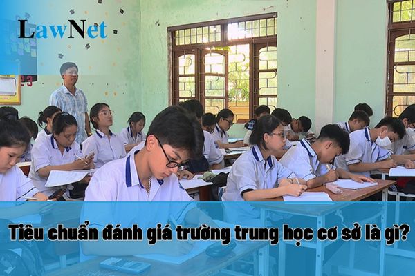 Tiêu chuẩn đánh giá trường trung học cơ sở là gì? Có các mức đánh giá trường trung học cơ sở nào?