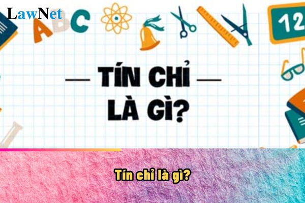 Tín chỉ là gì? Số tín chỉ tối thiểu mà sinh viên đại học cần phải đảm bảo là bao nhiêu?