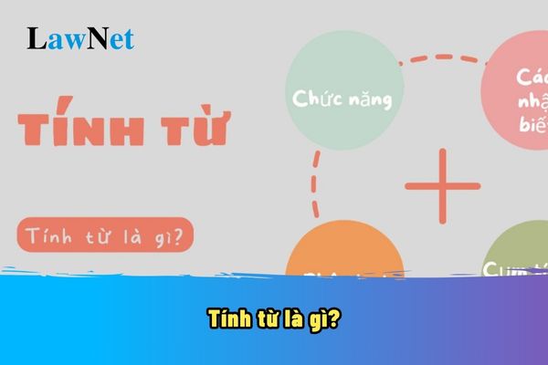 Tính từ là gì? Tính từ có tác dụng gì trong tiếng Việt? Đặc điểm của tính từ sẽ có trong chương trình lớp mấy?