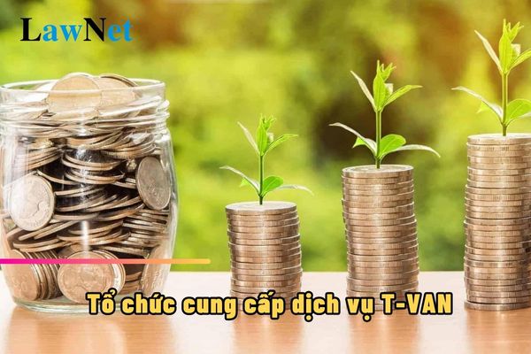 Doanh nghiệp nào được lựa chọn là tổ chức cung cấp dịch vụ T-VAN?