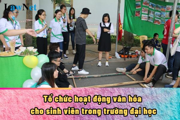 Tổ chức hoạt động văn hóa cho sinh viên trong trường đại học cần phải đảm bảo yêu cầu gì?