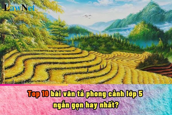 Top 10 bài văn tả phong cảnh lớp 5 ngắn gọn hay nhất?