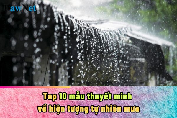 Top 10 mẫu thuyết minh về hiện tượng tự nhiên mưa ngắn gọn? Học sinh lớp 8 hiện nay sinh năm bao nhiêu?