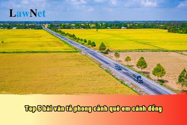 Top 5 bài văn tả phong cảnh quê em cánh đồng? Quy định về các cơ sở giáo dục phổ thông hiện nay?