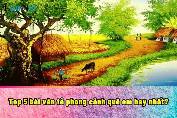 Top 5 bài văn tả phong cảnh quê em hay nhất? Bài văn tả phong cảnh được học từ lớp 5 đúng không?