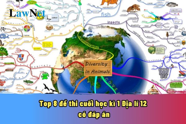 Top 8 đề thi cuối học kì 1 Địa lí 12 năm 2024 2025 có đáp án? Học sinh lớp 12 có những nhiệm vụ gì?