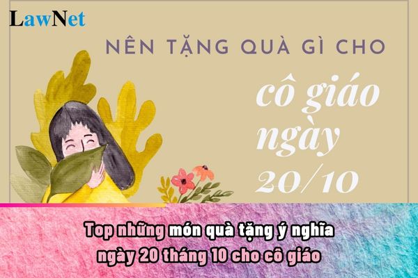 Top những món quà tặng ngày 20 tháng 10 cho cô giáo ý nghĩa? Ứng xử của giáo viên trong môi trường giáo dục ra sao?