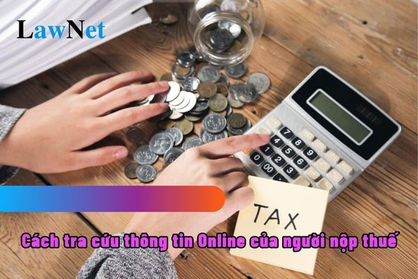 3 cách tra cứu thông tin Online của người nộp thuế?