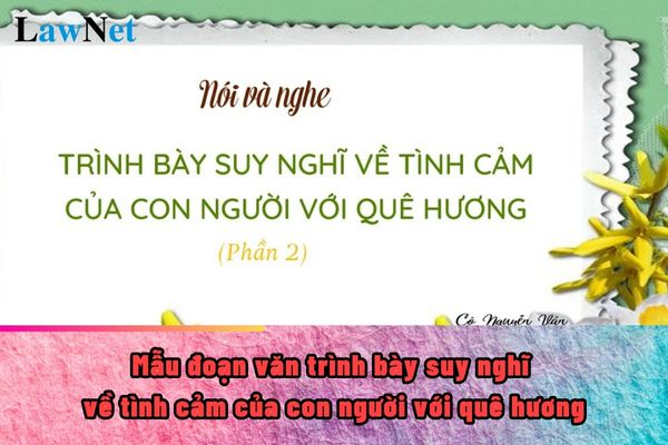 Mẫu đoạn văn trình bày suy nghĩ về tình cảm của con người với quê hương ngắn gọn? Cấp trung học cơ sở mỗi lớp có bao nhiêu học sinh?